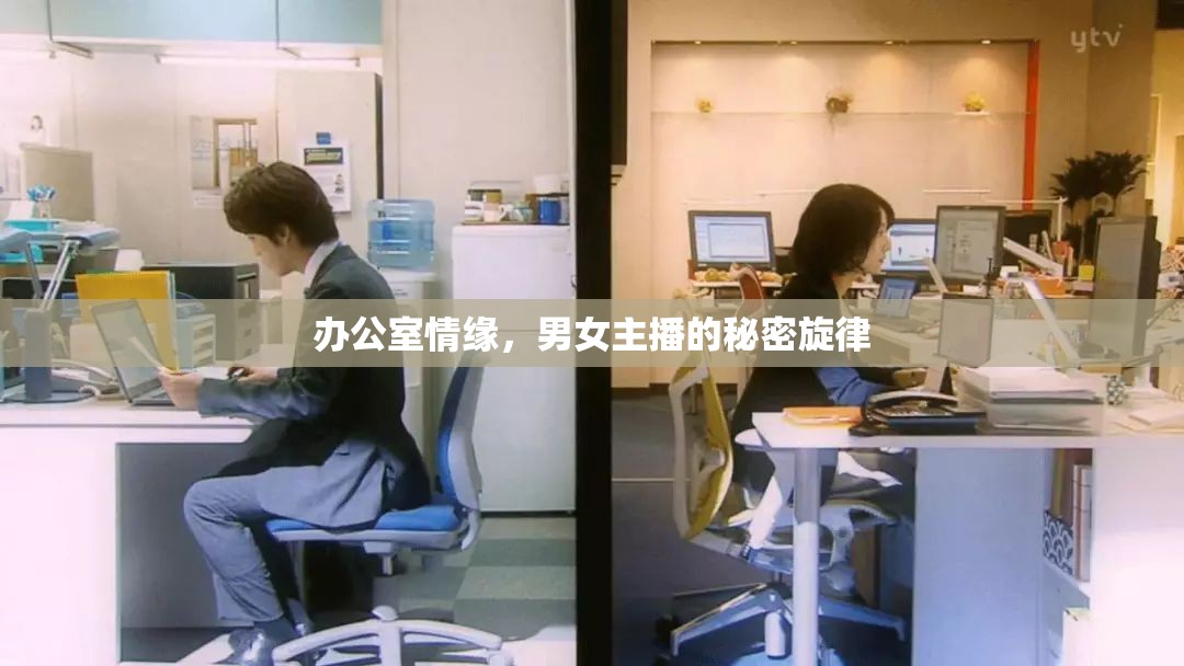 辦公室情緣，男女主播的秘密旋律