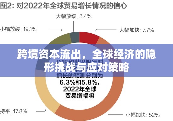 跨境資本流出，全球經(jīng)濟(jì)的隱形挑戰(zhàn)與應(yīng)對(duì)策略