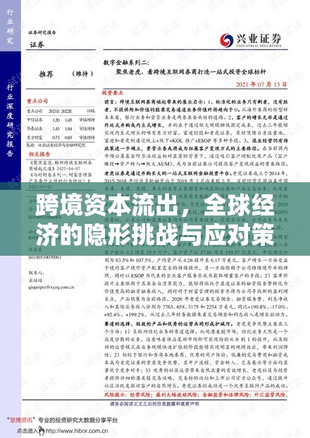 跨境資本流出，全球經(jīng)濟(jì)的隱形挑戰(zhàn)與應(yīng)對(duì)策略
