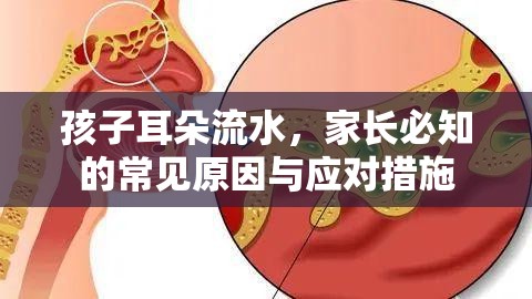 孩子耳朵流水，家長必知的常見原因與應對措施