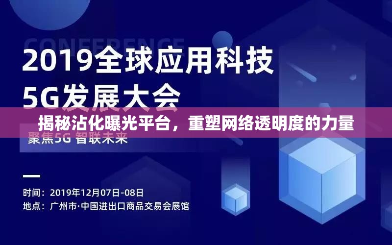 揭秘沾化曝光平臺，重塑網(wǎng)絡(luò)透明度的力量