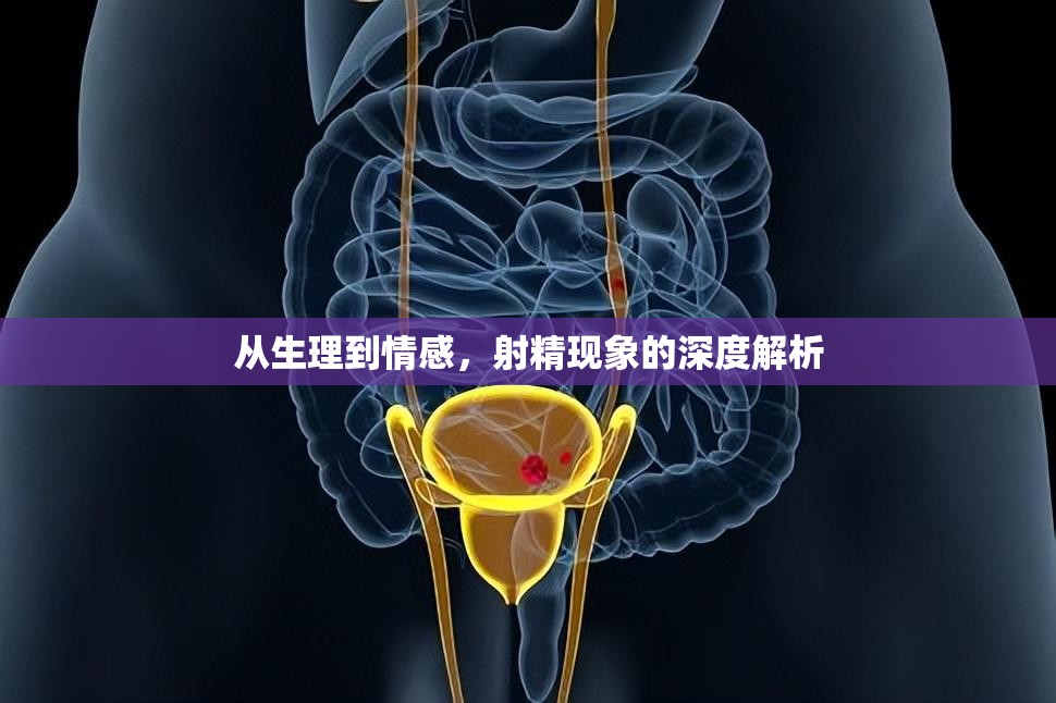從生理到情感，射精現象的深度解析