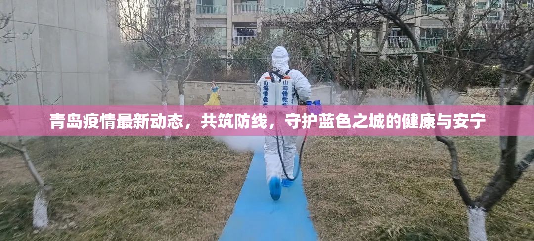 青島疫情最新動態(tài)，共筑防線，守護藍(lán)色之城的健康與安寧