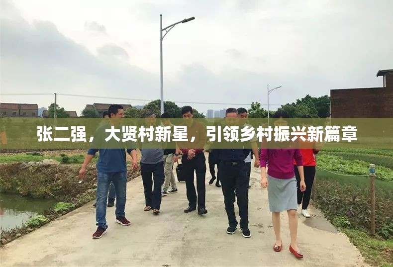 張二強，大賢村新星，引領鄉(xiāng)村振興新篇章