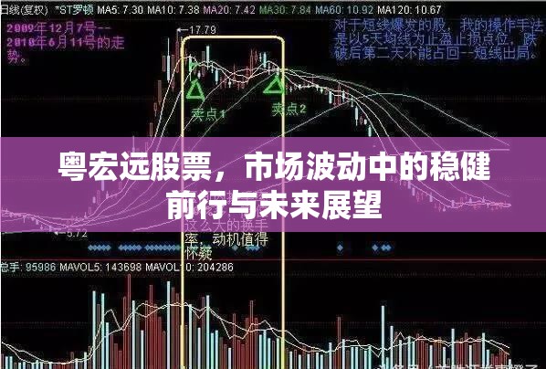 粵宏遠(yuǎn)股票，市場波動(dòng)中的穩(wěn)健前行與未來展望