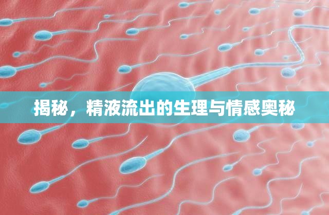 揭秘，精液流出的生理與情感奧秘
