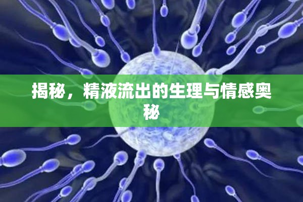 揭秘，精液流出的生理與情感奧秘