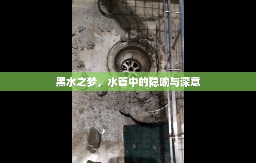 黑水之夢，水管中的隱喻與深意