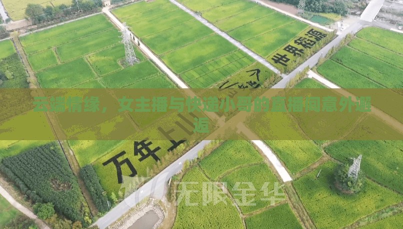 云端情緣，女主播與快遞小哥的直播間意外邂逅