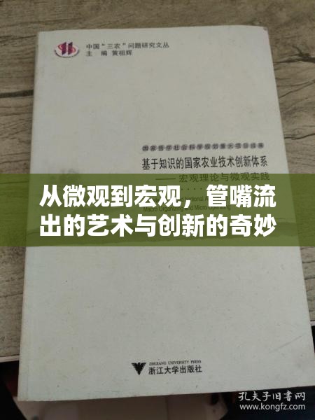從微觀到宏觀，管嘴流出的藝術(shù)與創(chuàng)新的奇妙旅程