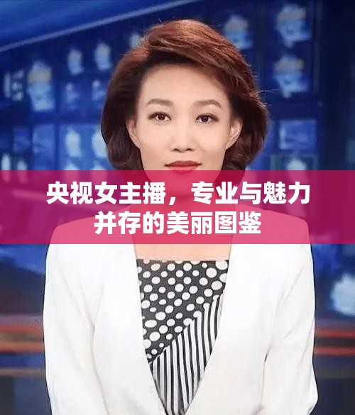 央視女主播，專(zhuān)業(yè)與魅力并存的美麗圖鑒