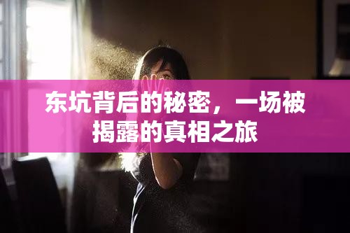 東坑背后的秘密，一場(chǎng)被揭露的真相之旅