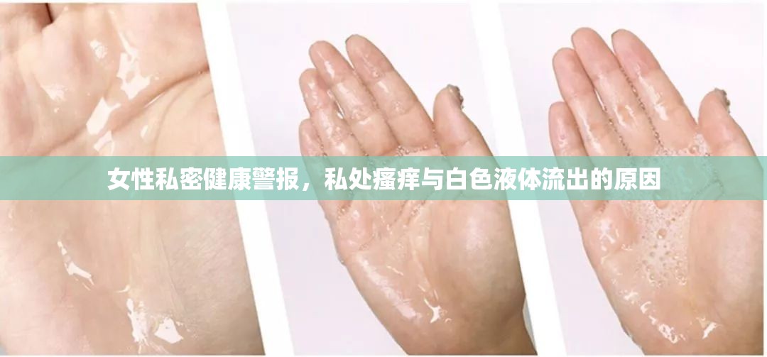 女性私密健康警報，私處瘙癢與白色液體流出的原因