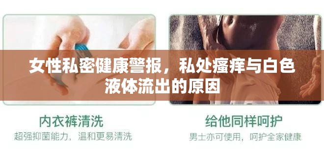 女性私密健康警報，私處瘙癢與白色液體流出的原因