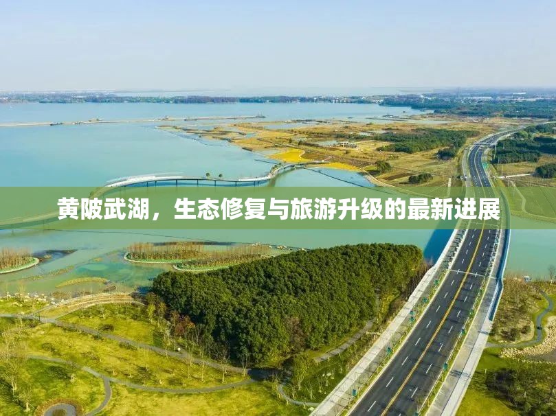 黃陂武湖，生態(tài)修復(fù)與旅游升級的最新進展