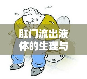 肛門流出液體的生理與健康全面解析