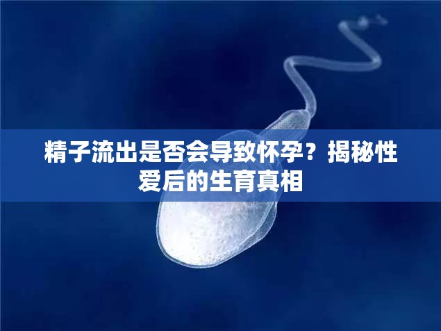 精子流出是否會導致懷孕？揭秘性愛后的生育真相