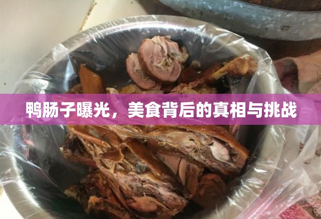 鴨腸子曝光，美食背后的真相與挑戰(zhàn)