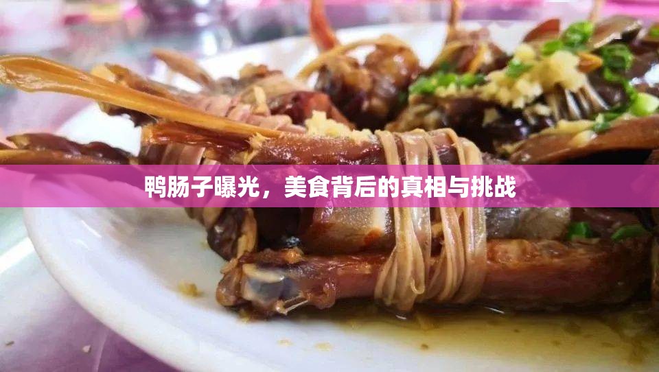 鴨腸子曝光，美食背后的真相與挑戰(zhàn)