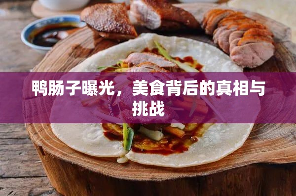 鴨腸子曝光，美食背后的真相與挑戰(zhàn)