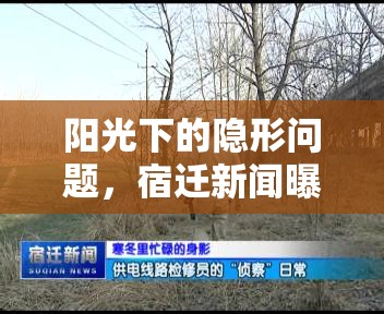 陽光下的隱形問題，宿遷新聞曝光與治理新路徑