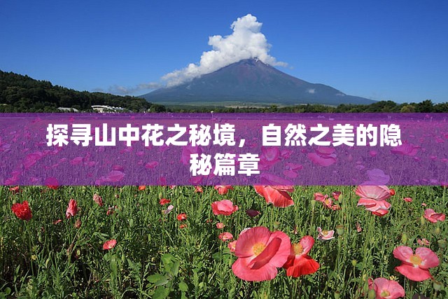 探尋山中花之秘境，自然之美的隱秘篇章