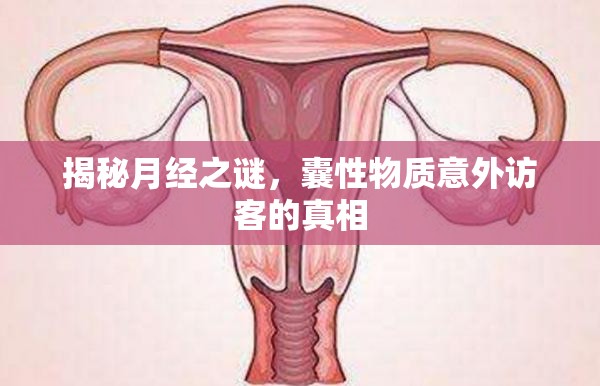 揭秘月經(jīng)之謎，囊性物質(zhì)意外訪客的真相