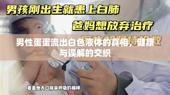 男性蛋蛋流出白色液體的真相，健康與誤解的交織