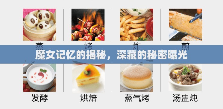 魔女記憶的揭秘，深藏的秘密曝光