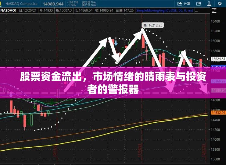 股票資金流出，市場情緒的晴雨表與投資者的警報器