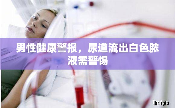男性健康警報，尿道流出白色膿液需警惕