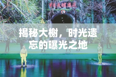 揭秘大榭，時(shí)光遺忘的曝光之地
