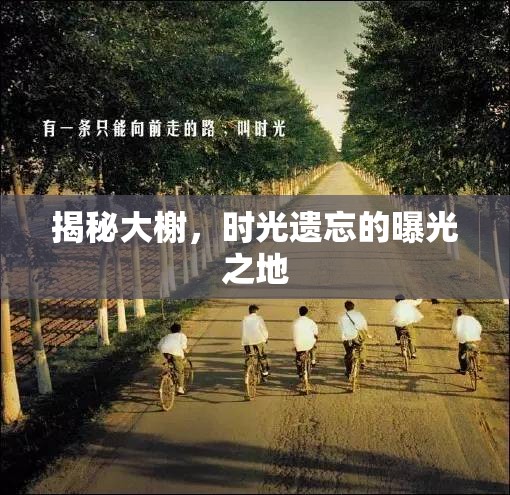 揭秘大榭，時(shí)光遺忘的曝光之地