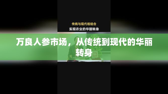 萬良人參市場，從傳統(tǒng)到現(xiàn)代的華麗轉(zhuǎn)身