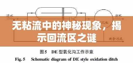 無粘流中的神秘現(xiàn)象，揭示回流區(qū)之謎