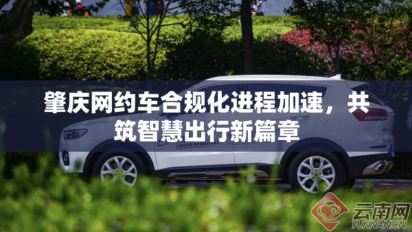 肇慶網(wǎng)約車合規(guī)化進(jìn)程加速，共筑智慧出行新篇章