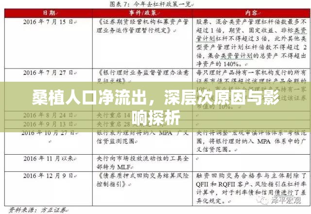 桑植人口凈流出，深層次原因與影響探析