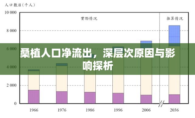 桑植人口凈流出，深層次原因與影響探析