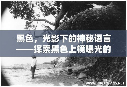 黑色，光影下的神秘語(yǔ)言——探索黑色上鏡曝光的藝術(shù)魅力