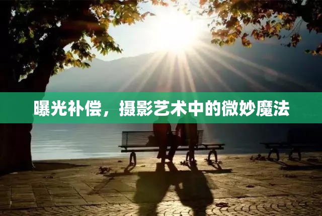 曝光補(bǔ)償，攝影藝術(shù)中的微妙魔法