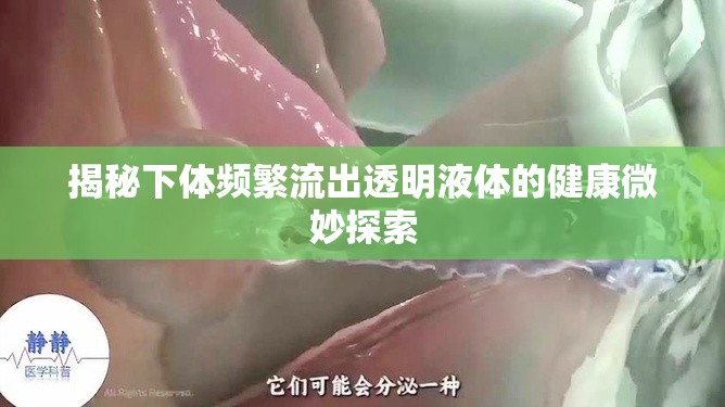 揭秘下體頻繁流出透明液體的健康微妙探索