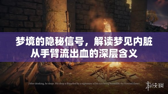 夢境的隱秘信號，解讀夢見內(nèi)臟從手臂流出血的深層含義