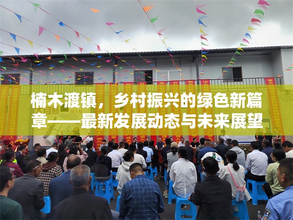 楠木渡鎮(zhèn)，鄉(xiāng)村振興的綠色新篇章——最新發(fā)展動態(tài)與未來展望