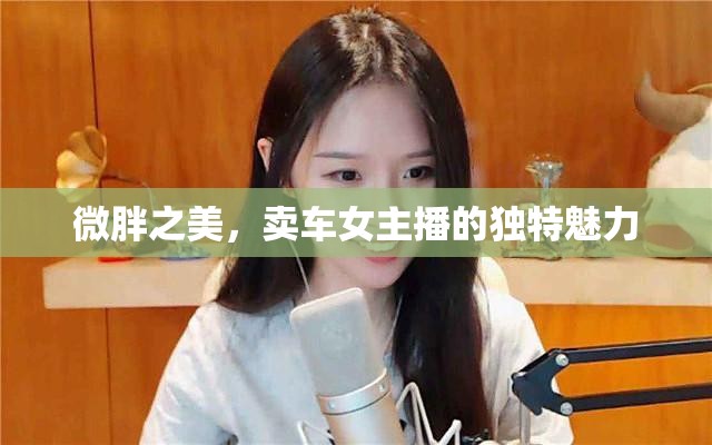 微胖之美，賣車女主播的獨(dú)特魅力