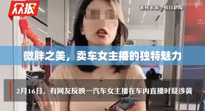 微胖之美，賣車女主播的獨(dú)特魅力