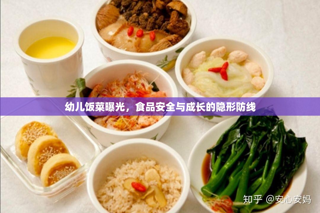 幼兒飯菜曝光，食品安全與成長的隱形防線