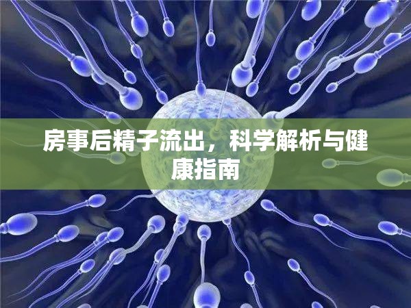 房事后精子流出，科學(xué)解析與健康指南