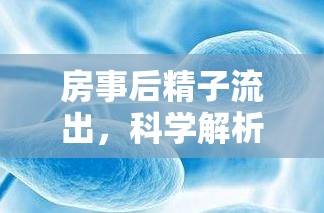 房事后精子流出，科學(xué)解析與健康指南