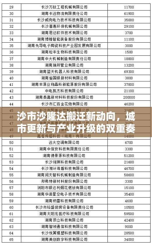 沙市沙隆達(dá)搬遷新動向，城市更新與產(chǎn)業(yè)升級的雙重奏鳴曲