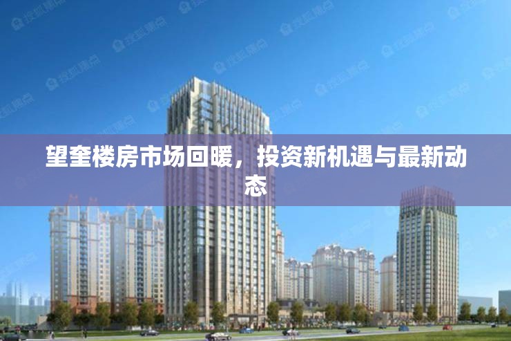 望奎樓房市場回暖，投資新機(jī)遇與最新動(dòng)態(tài)